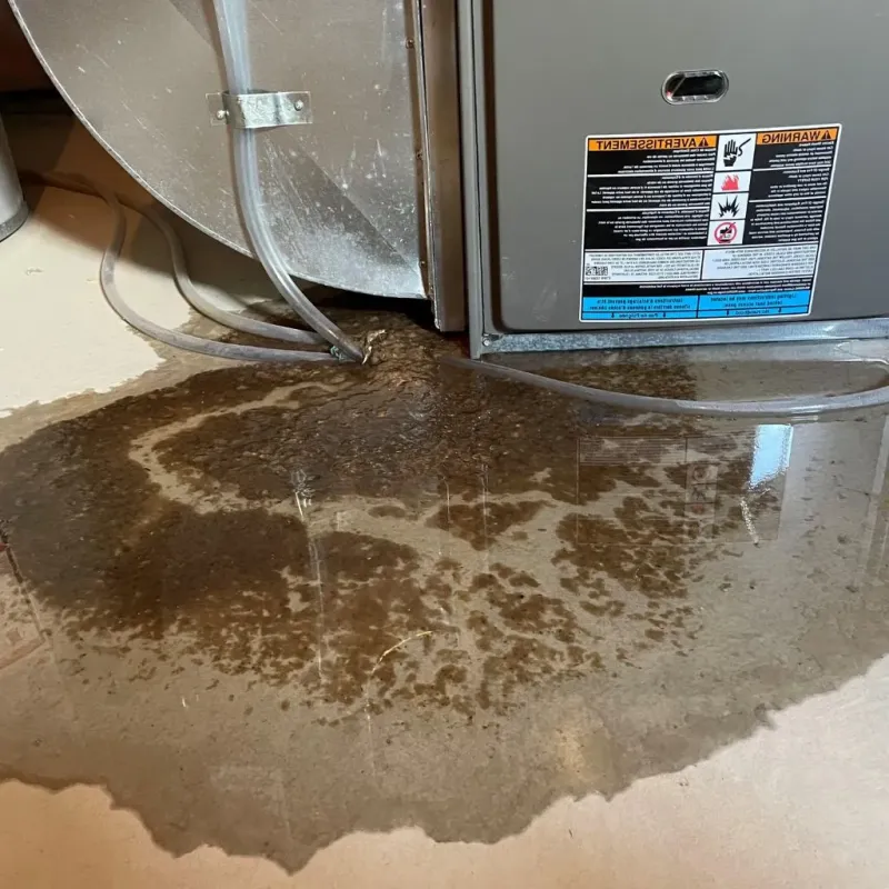 Pipe Burst and Leak Restoration in Beech Grove, IN